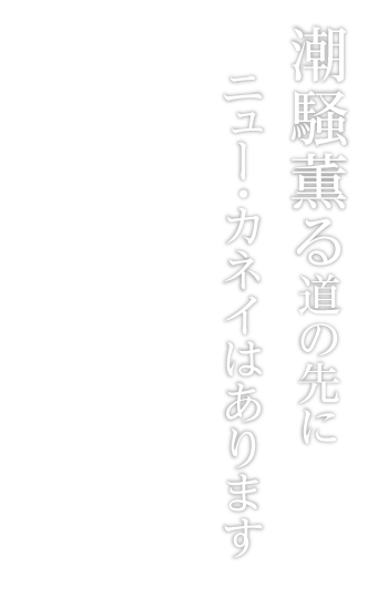 潮騒薫る道の先にニューカネイはあります